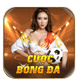 Các cược bóng đá